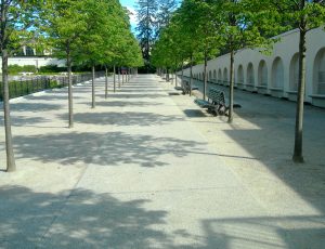 Walkway at Longwood Gardens