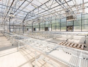 Interior of the greenhouse at Academies of Loudoun