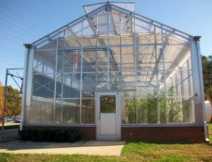 Exterior of Greenhouse at NCSU