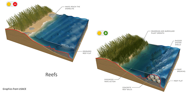 Examples of coastal natural and nature-based features