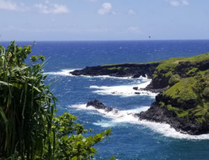 Ocean view from a national park