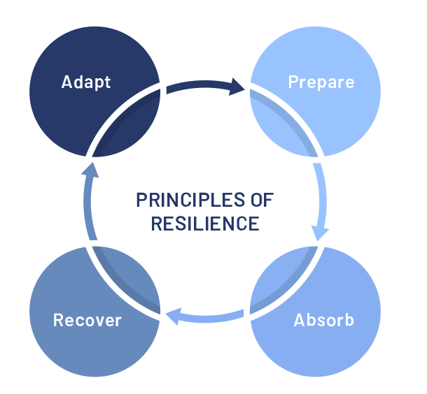Principles of resilience framework